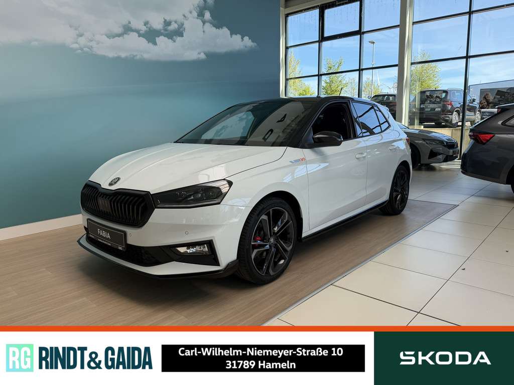 Fahrzeugbild eines Skoda Fabia
