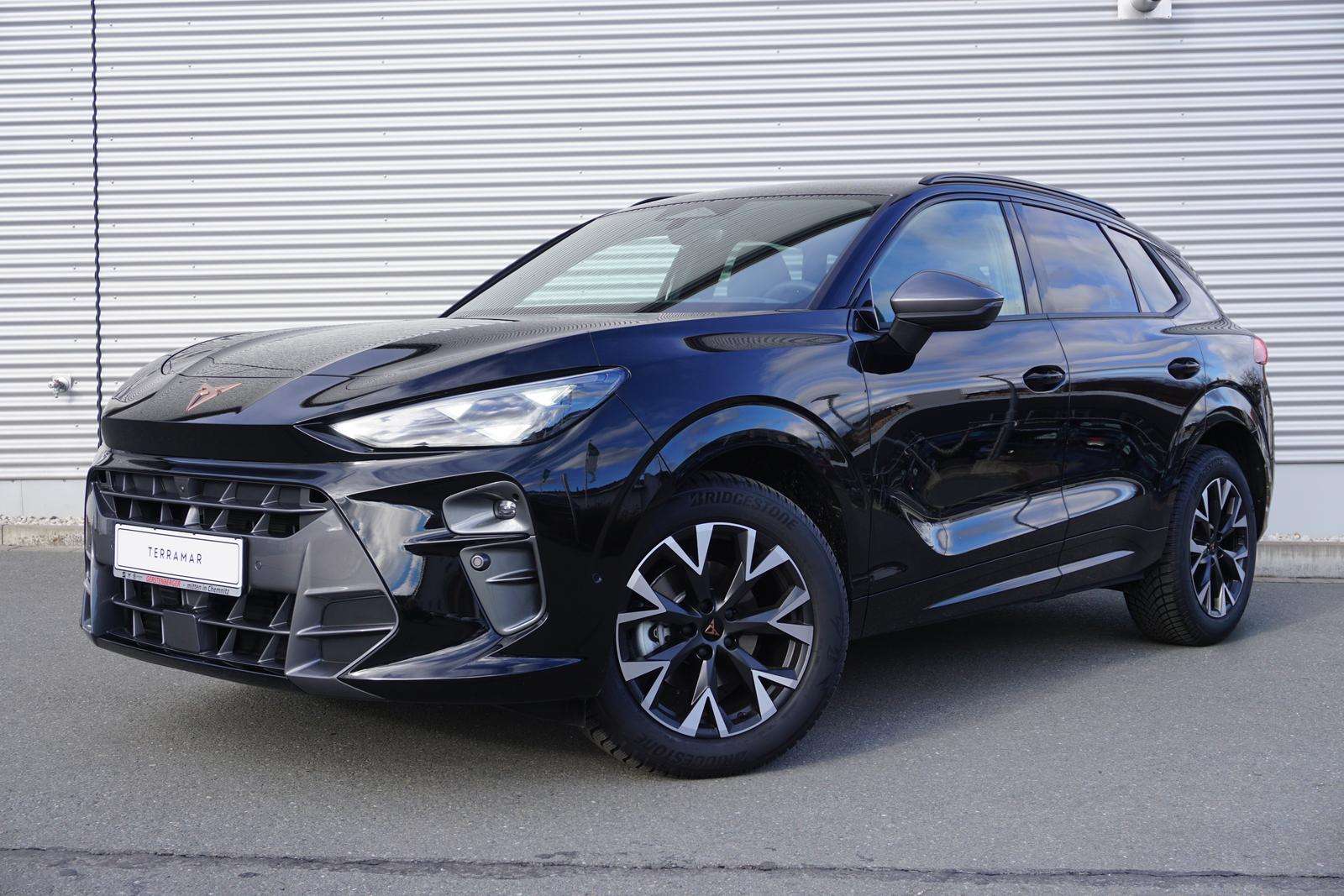 Fahrzeugbild eines CUPRA Terramar