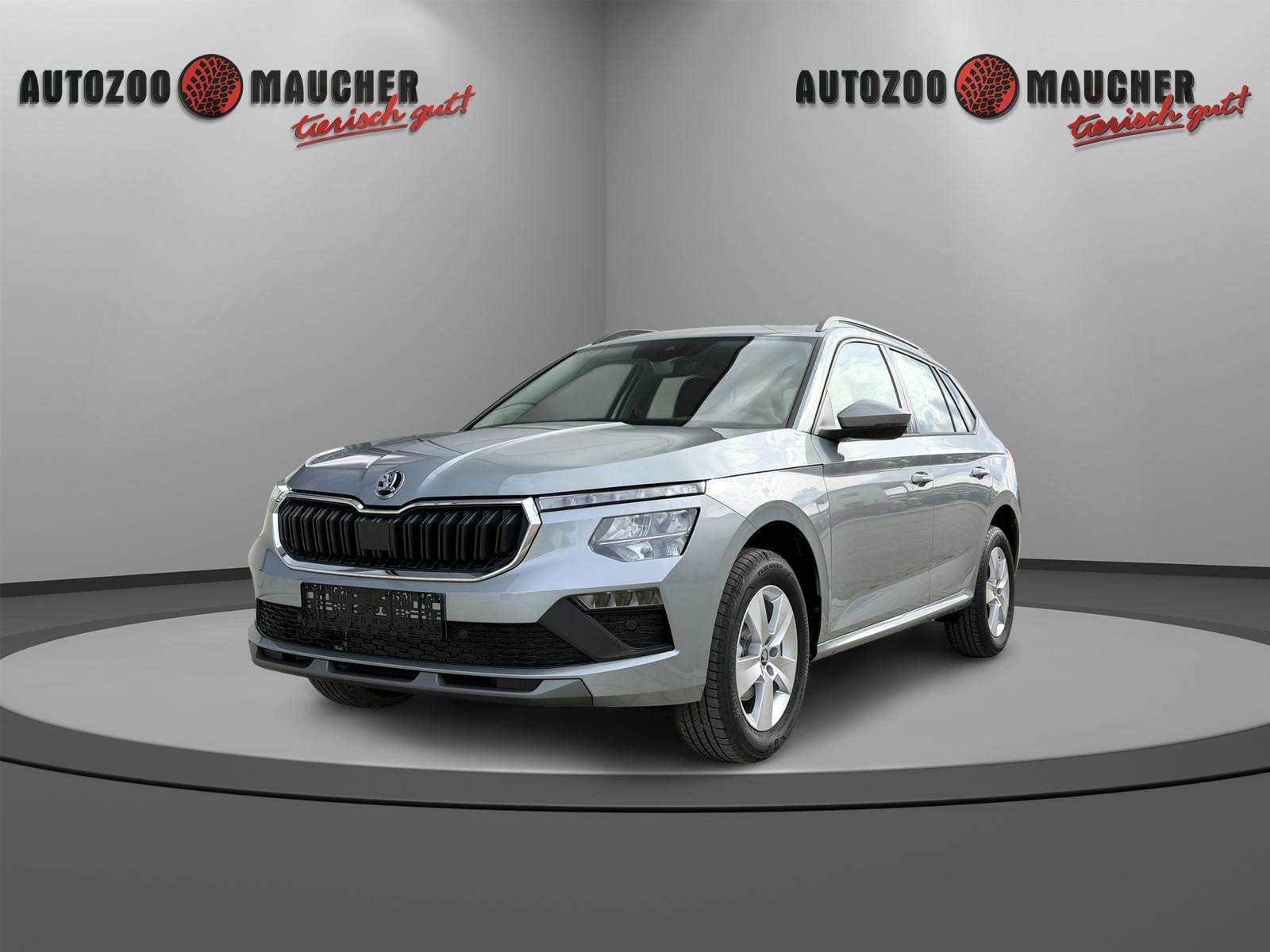 Fahrzeugbild eines Skoda Kamiq