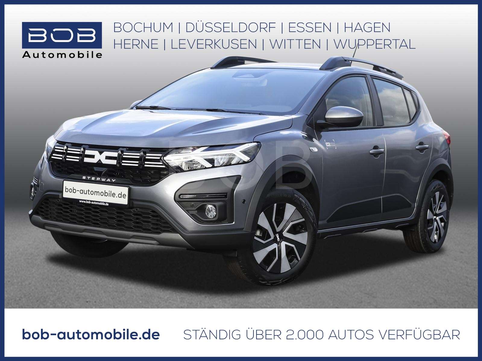 Fahrzeugbild eines Dacia Sandero