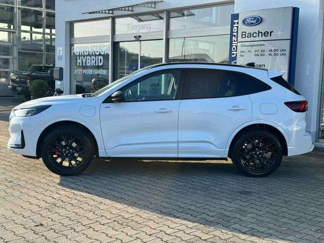 Fahrzeugbild eines Ford Kuga