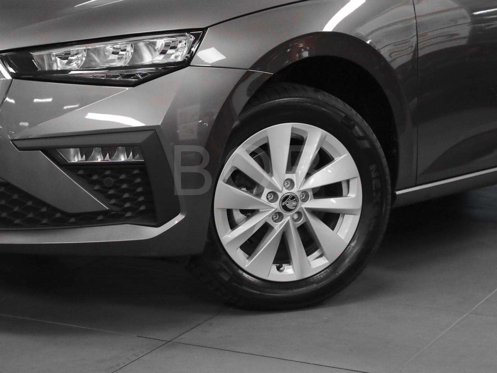 Fahrzeugbild eines Skoda Scala