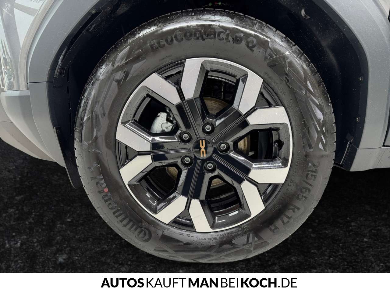 Fahrzeugbild eines Dacia Duster