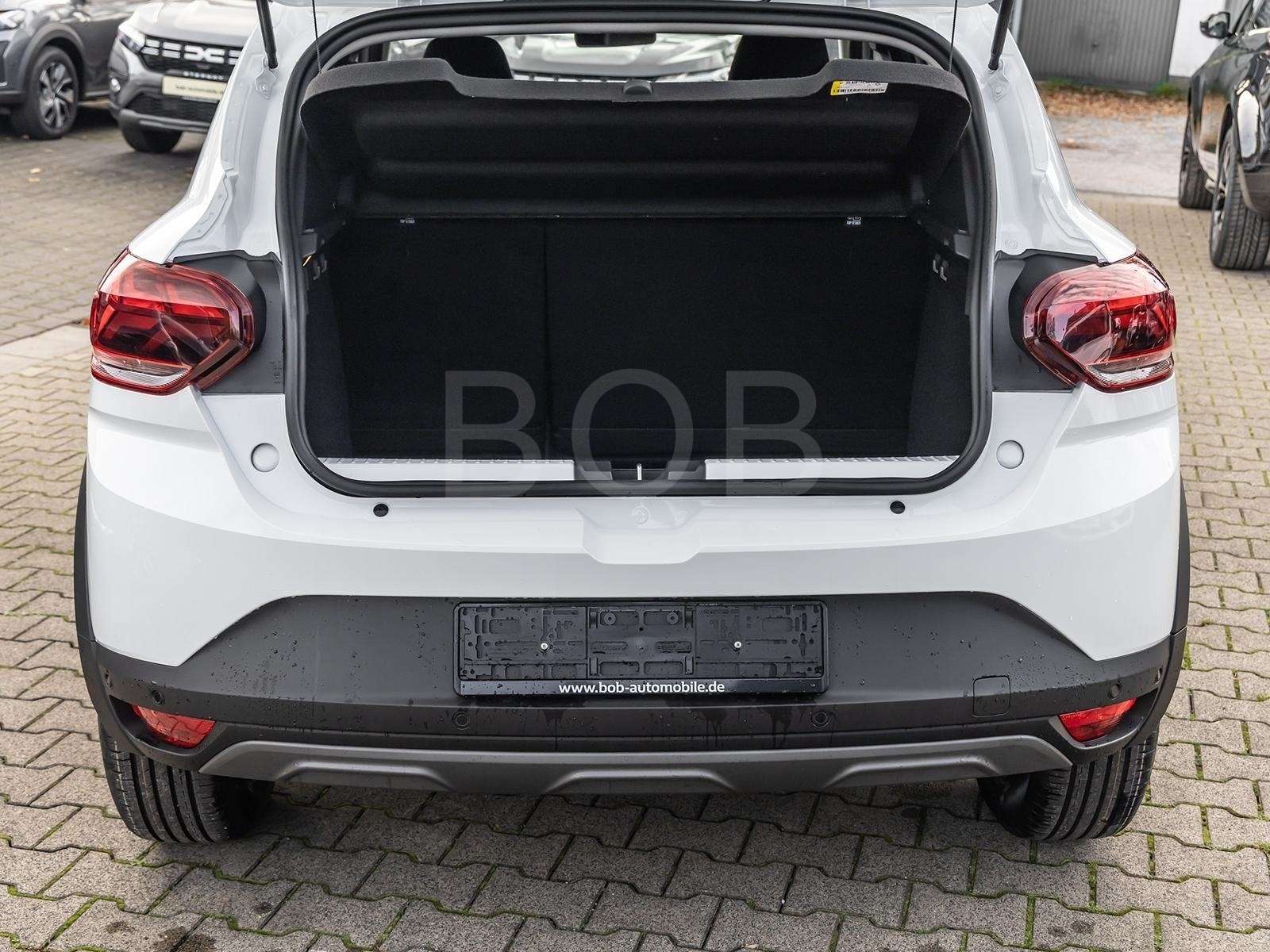 Fahrzeugbild eines Dacia Sandero