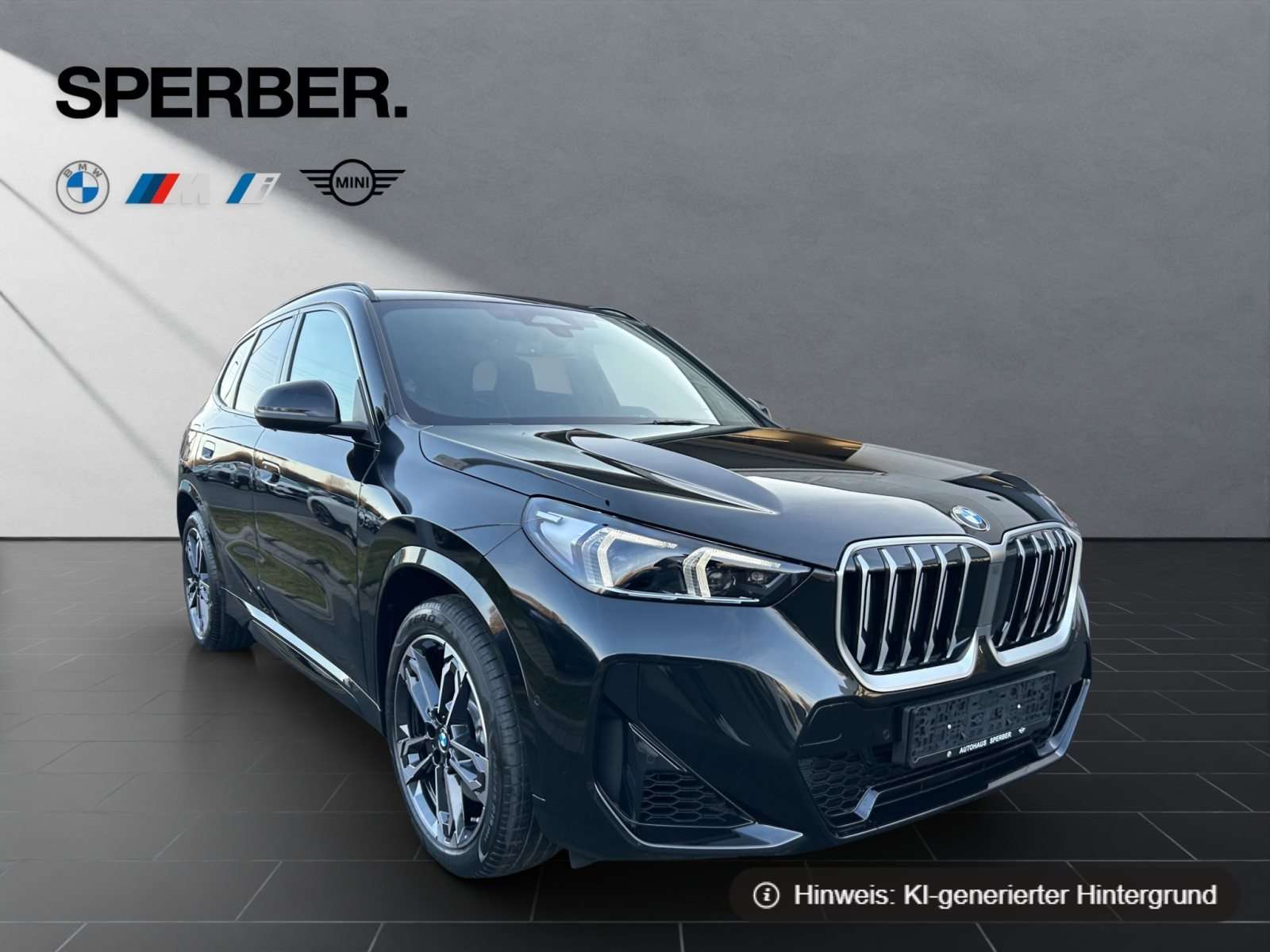 Fahrzeugbild eines BMW X1
