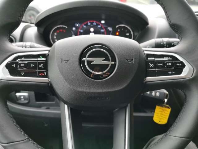 Fahrzeugbild eines Opel Movano