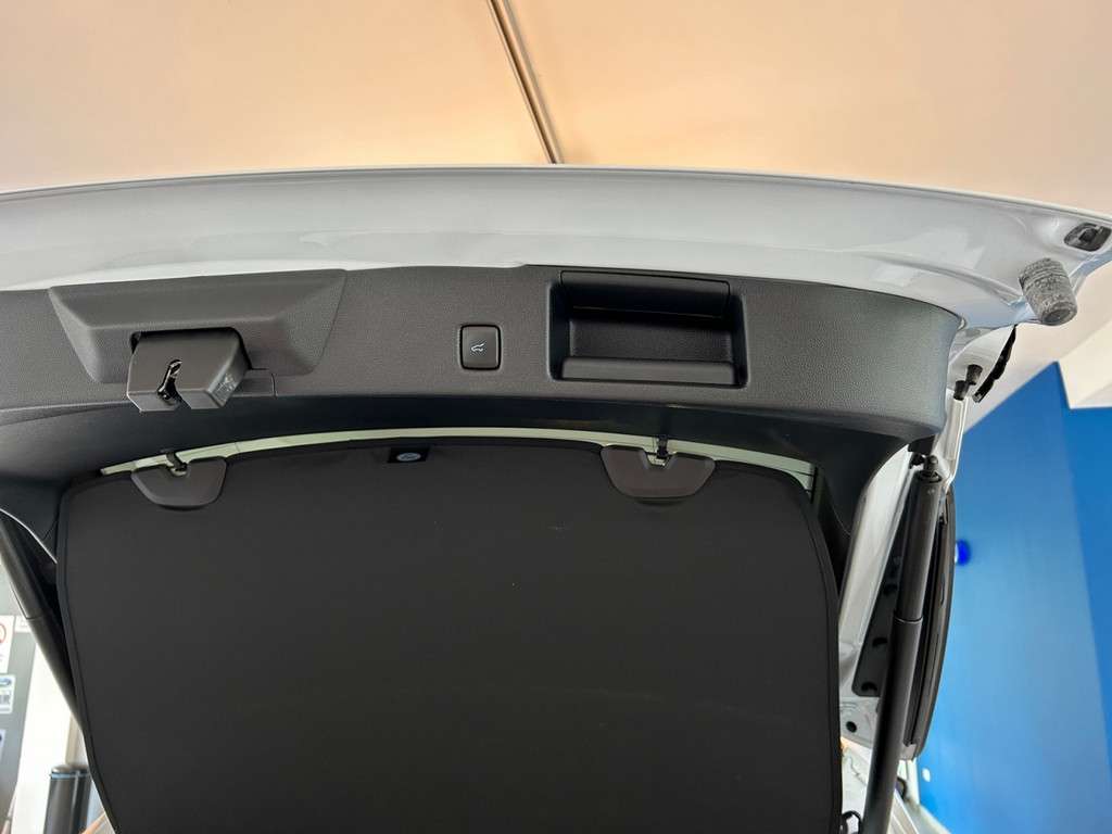 Fahrzeugbild eines Ford Kuga