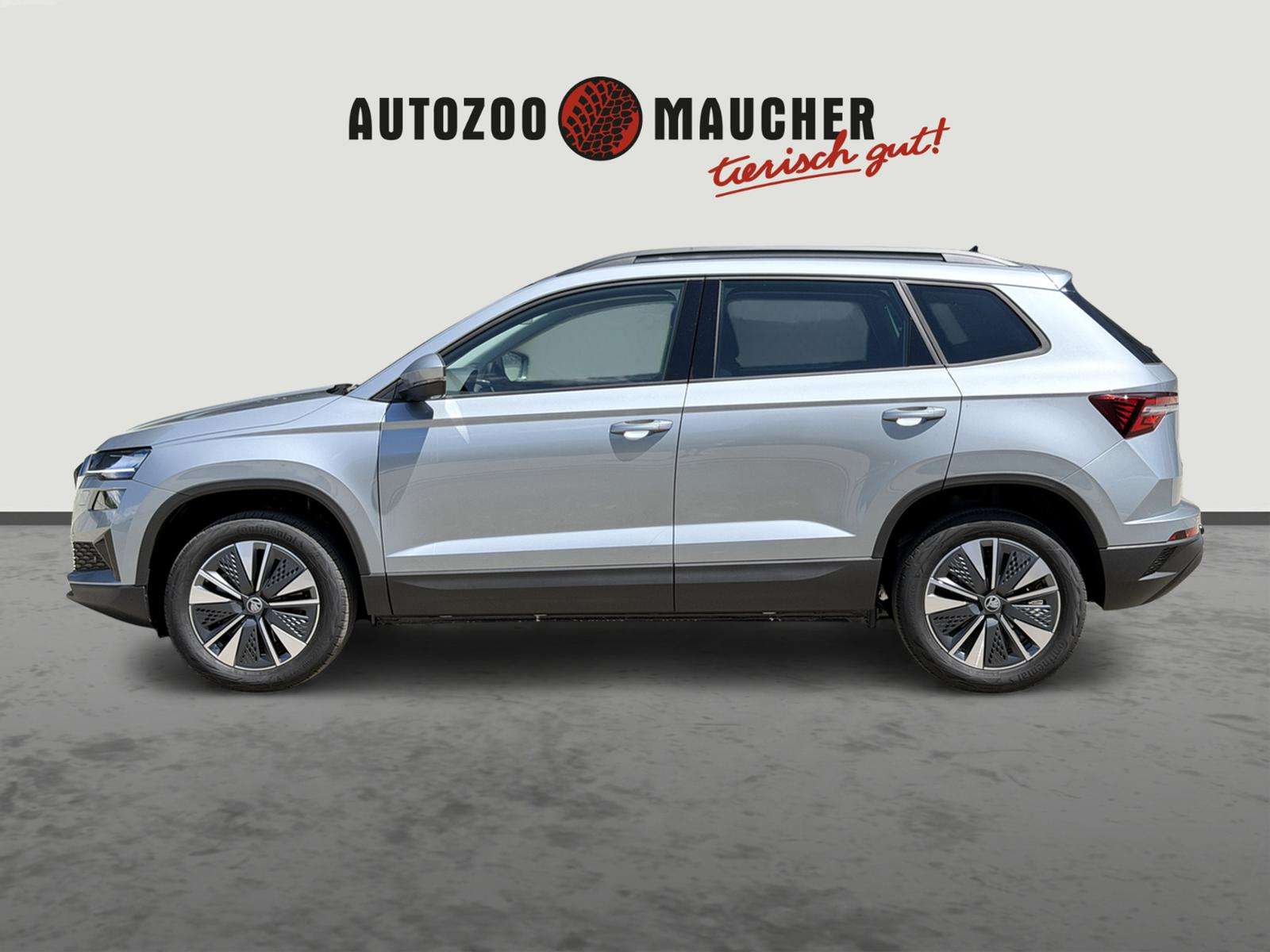 Fahrzeugbild eines Skoda Karoq