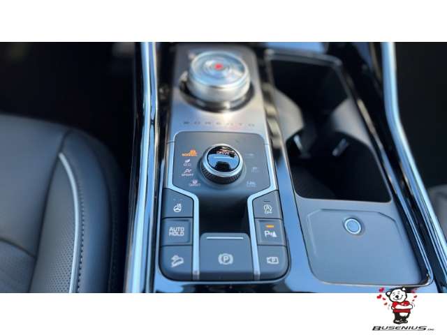Fahrzeugbild eines Kia Sorento