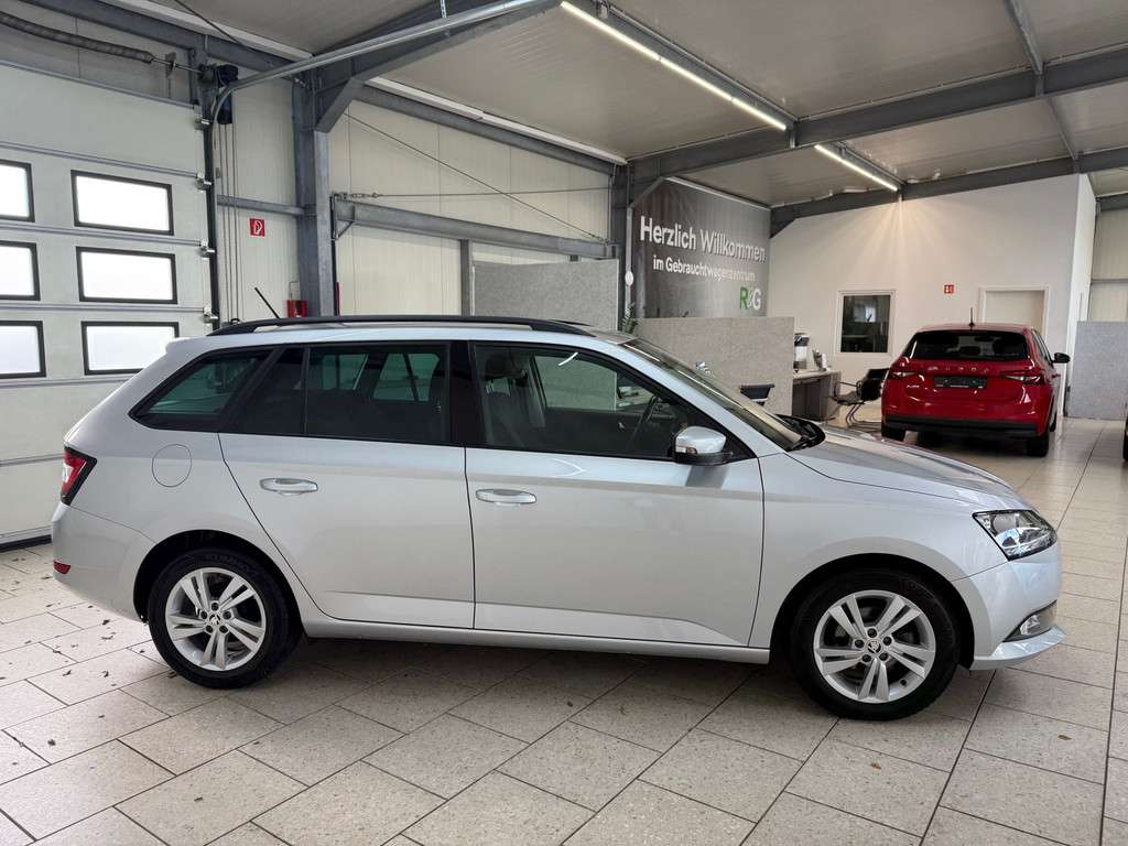Fahrzeugbild eines Skoda Fabia