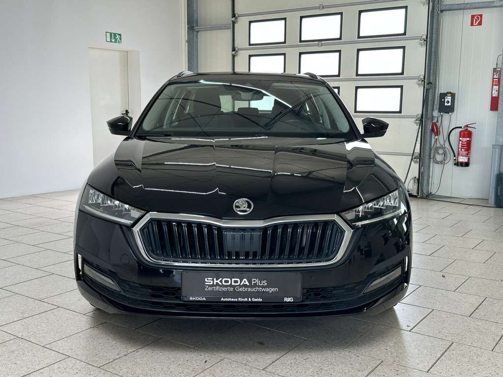 Fahrzeugbild eines Skoda Octavia