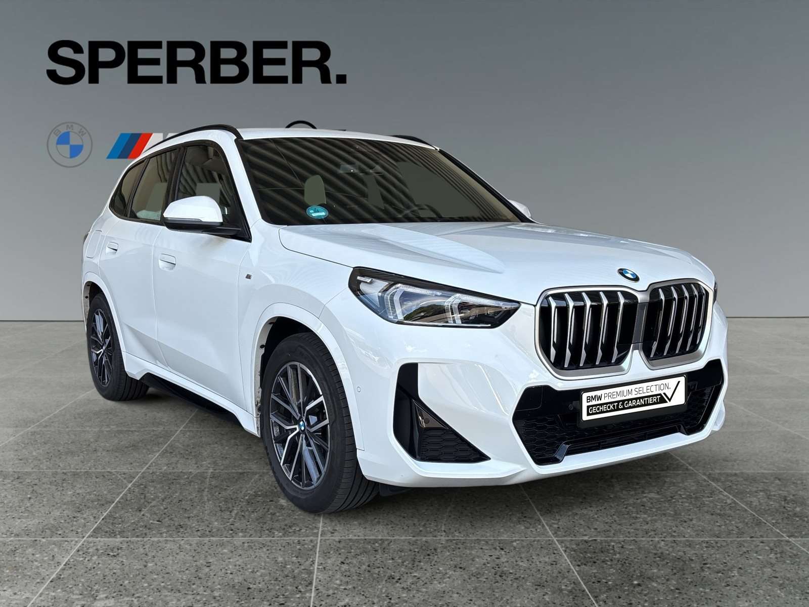 Fahrzeugbild eines BMW X1