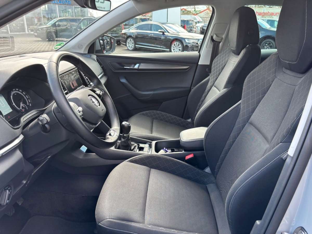 Fahrzeugbild eines Skoda Karoq