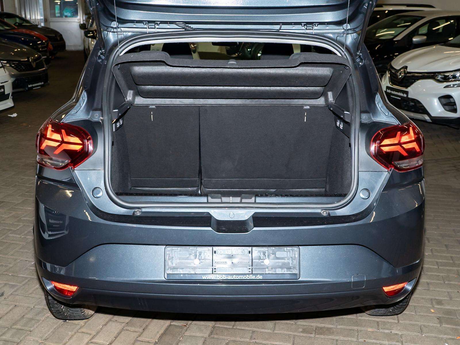 Fahrzeugbild eines Dacia Sandero