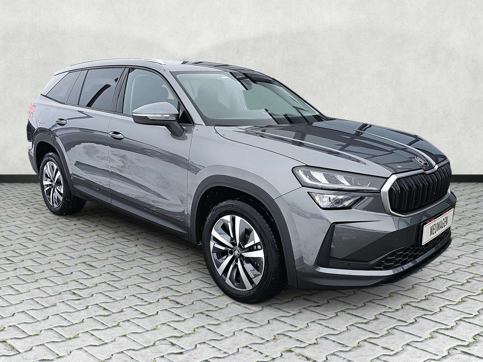 Fahrzeugbild eines Skoda Kodiaq