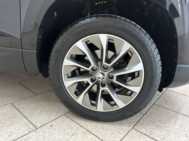 Fahrzeugbild eines Skoda Karoq