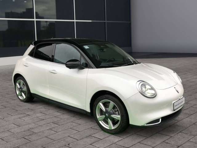 Fahrzeugbild eines GWM Ora 03