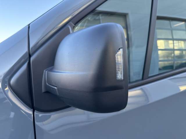 Fahrzeugbild eines Renault Trafic