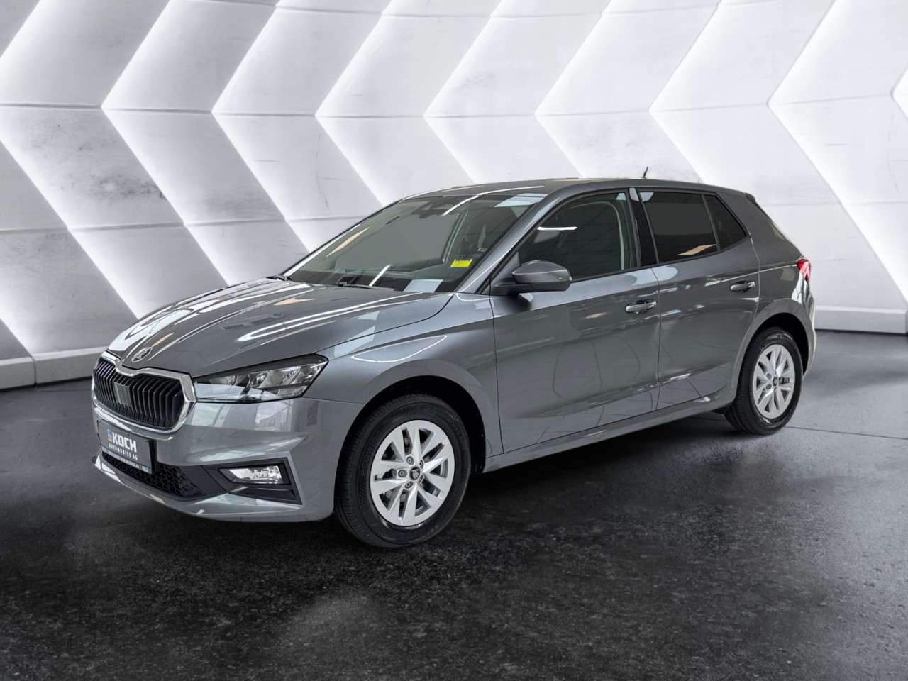 Fahrzeugbild eines Skoda Fabia