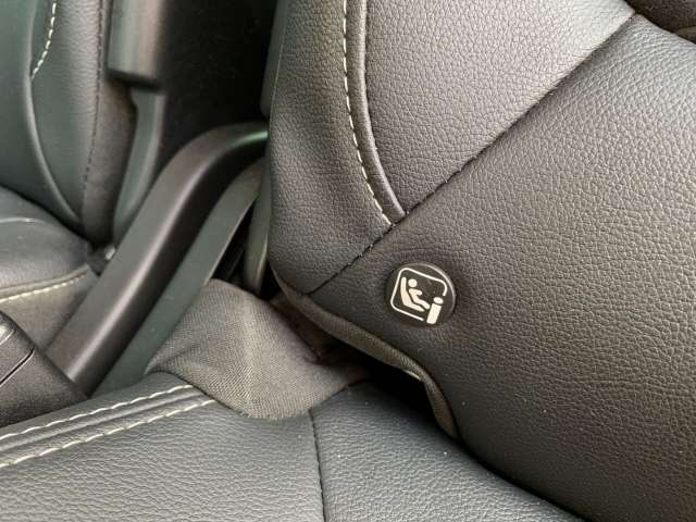 Fahrzeugbild eines Renault Grand Scénic