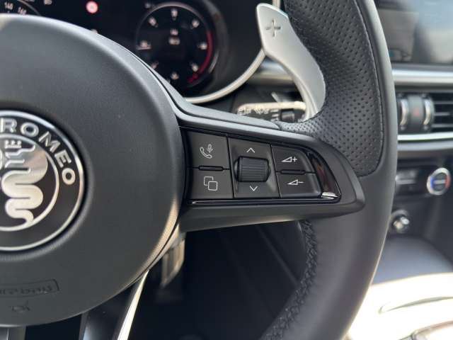 Fahrzeugbild eines Alfa Romeo Stelvio