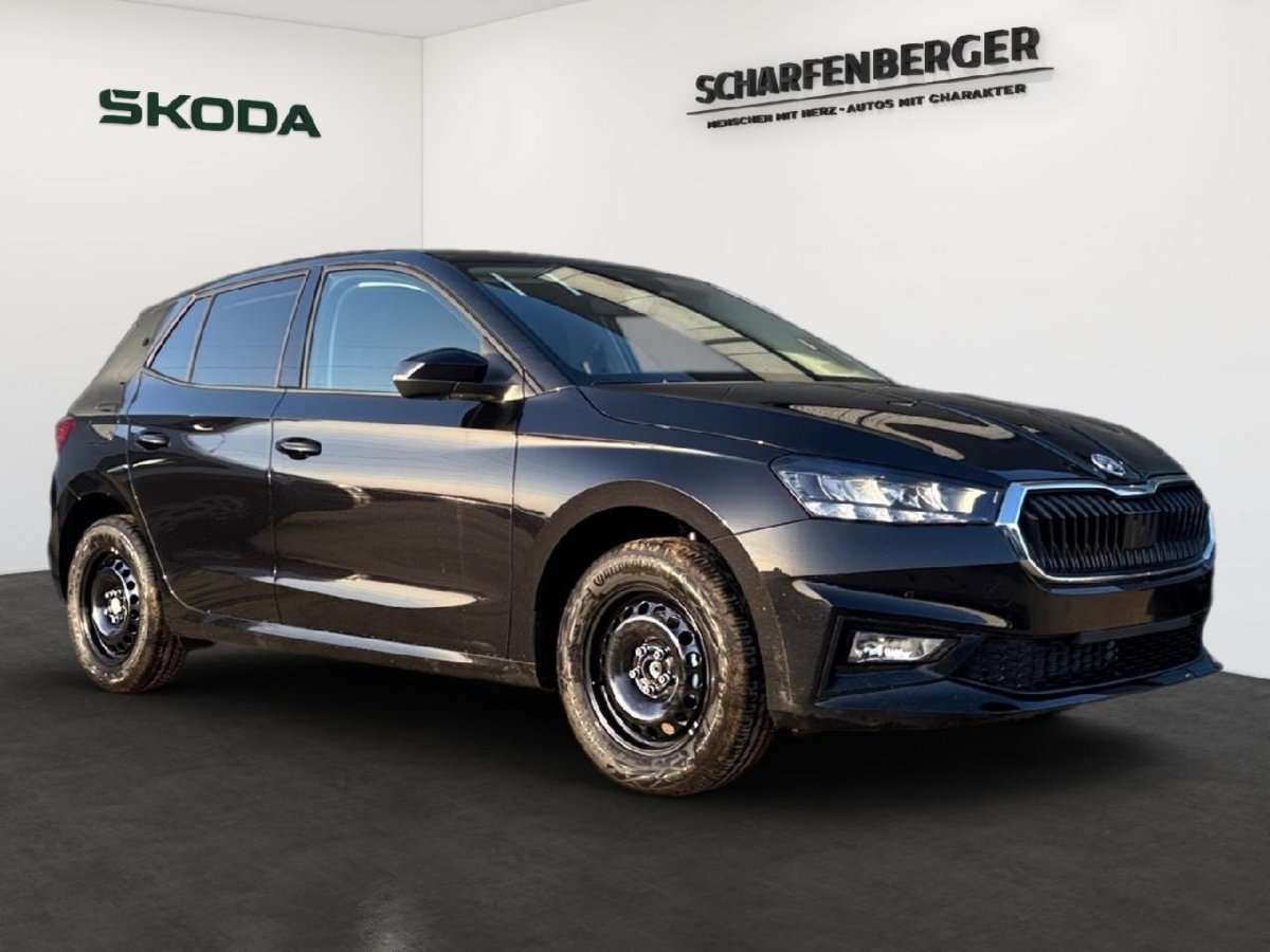 Fahrzeugbild eines Skoda Fabia