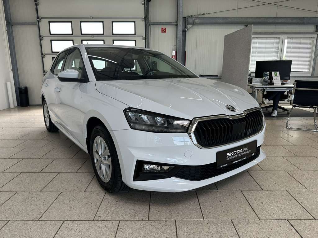 Fahrzeugbild eines Skoda Fabia