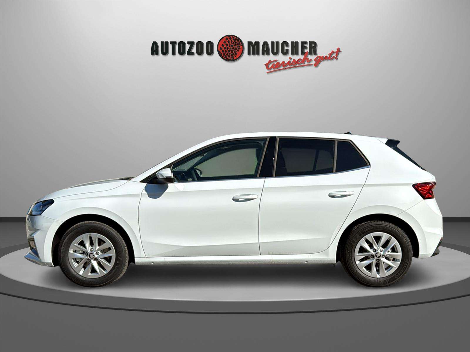 Fahrzeugbild eines Skoda Fabia