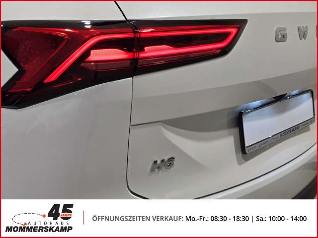 Fahrzeugbild eines GWM Haval H6