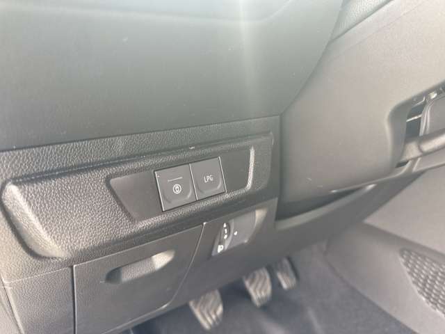 Fahrzeugbild eines Dacia Sandero