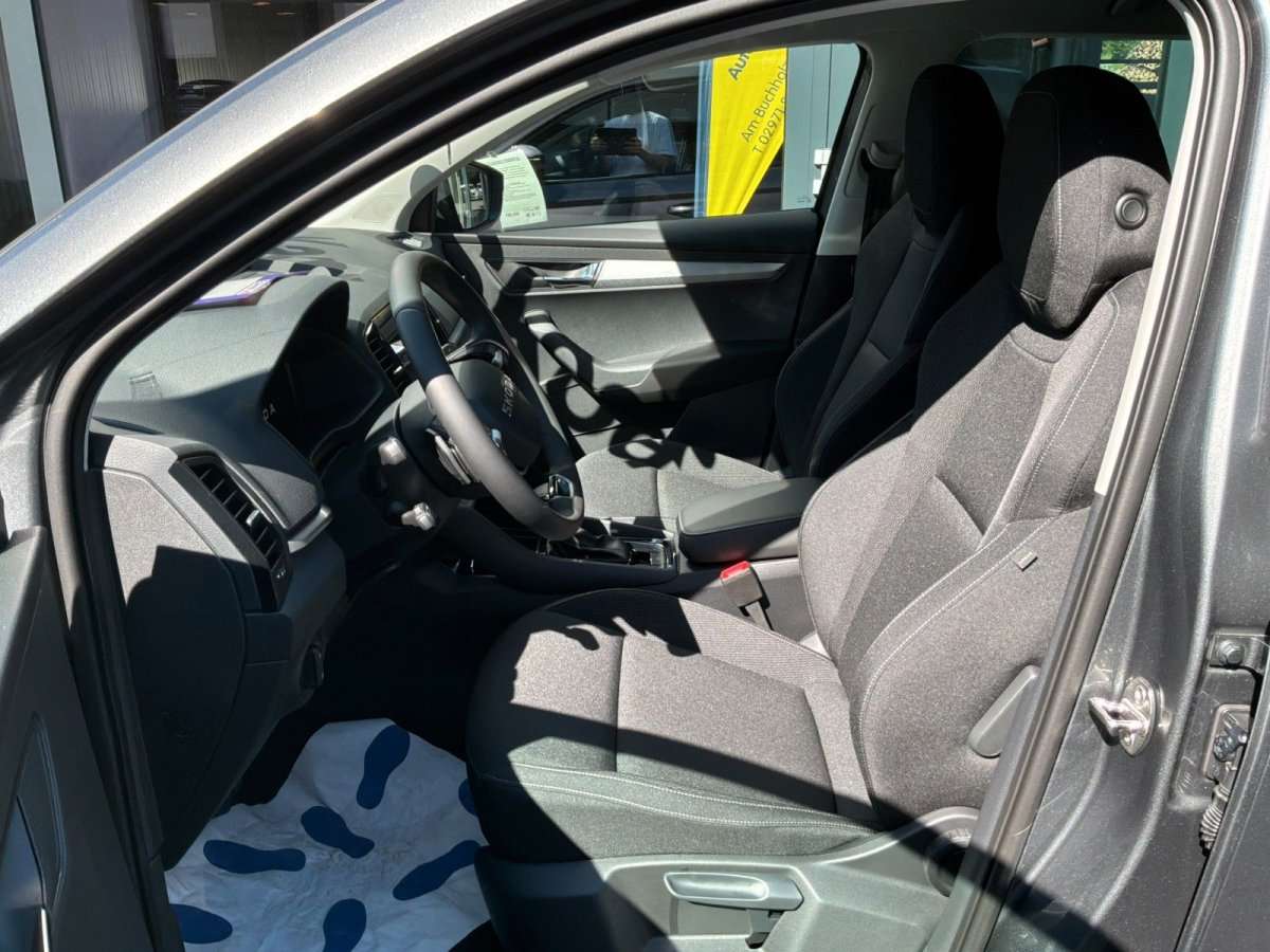 Fahrzeugbild eines Skoda Karoq