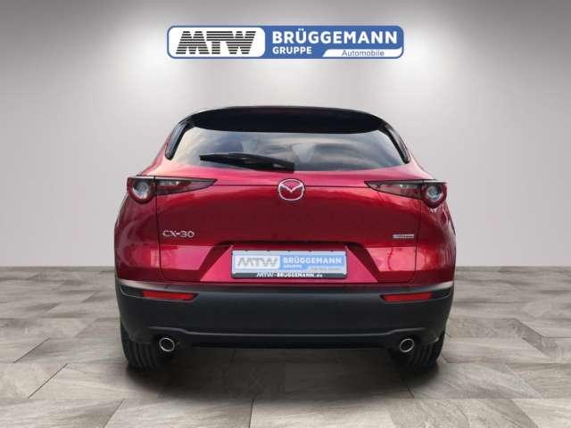 Fahrzeugbild eines Mazda CX-30