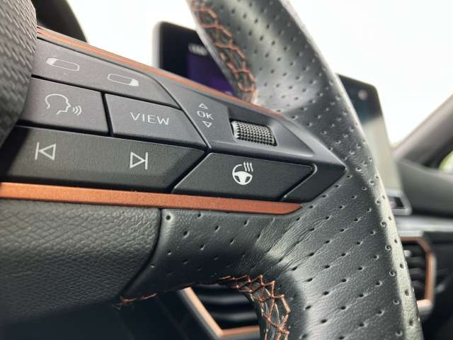 Fahrzeugbild eines CUPRA Leon