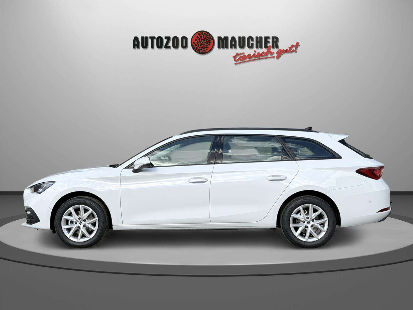 Fahrzeugbild eines SEAT Leon