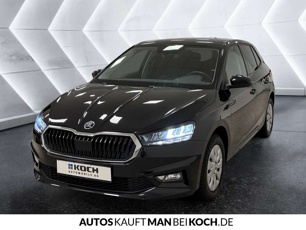 Fahrzeugbild eines Skoda Fabia