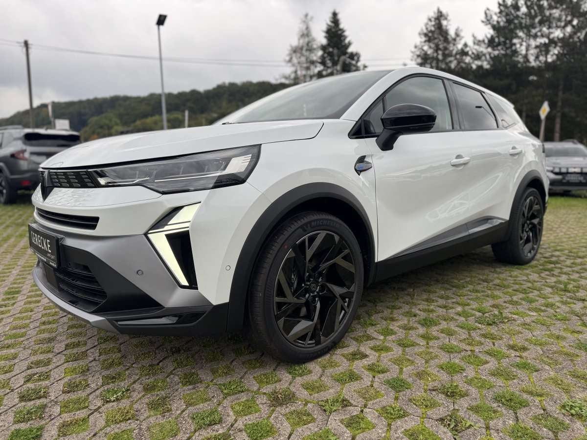 Fahrzeugbild eines Renault Symbioz