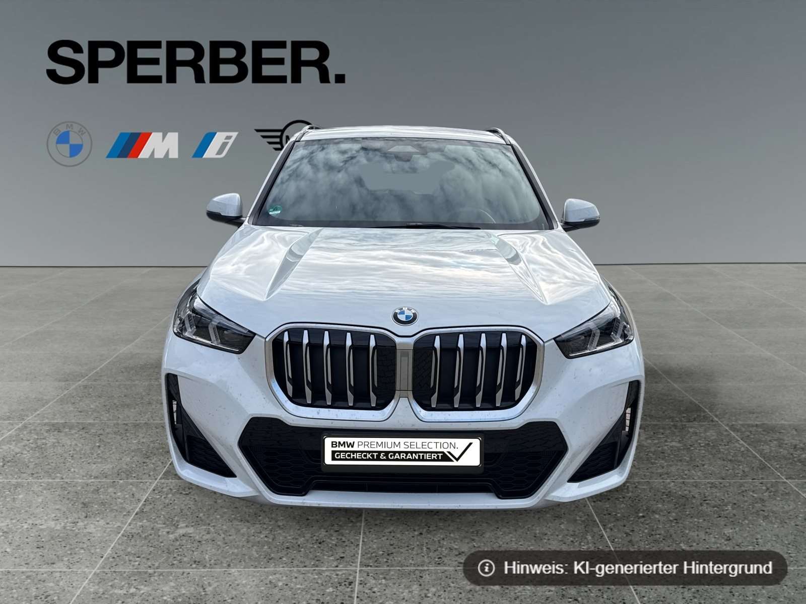 Fahrzeugbild eines BMW X1