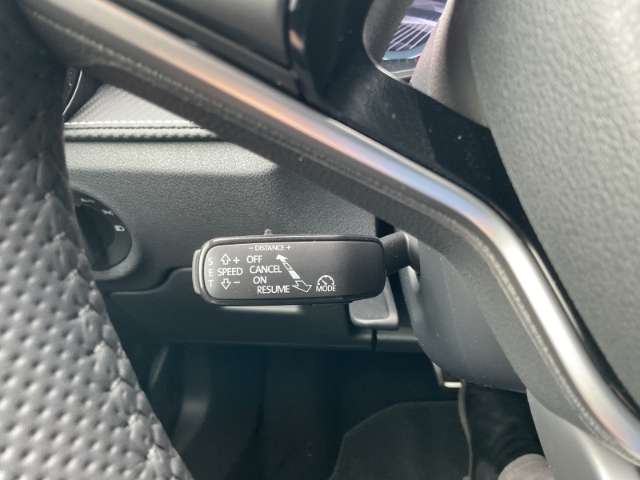 Fahrzeugbild eines Skoda Fabia