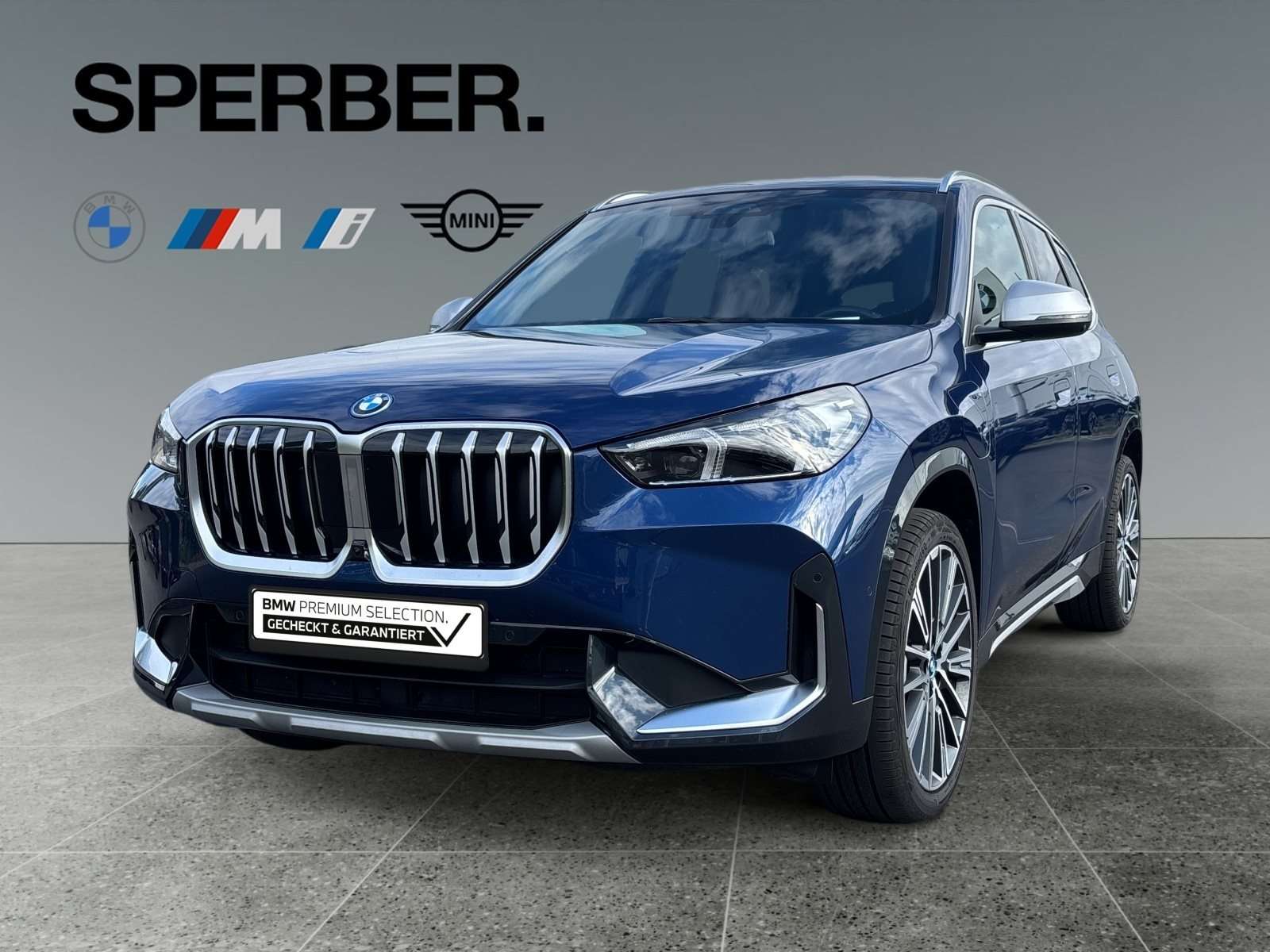 Fahrzeugbild eines BMW X1