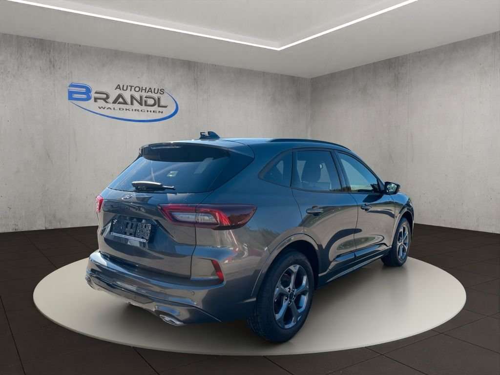 Fahrzeugbild eines Ford Kuga