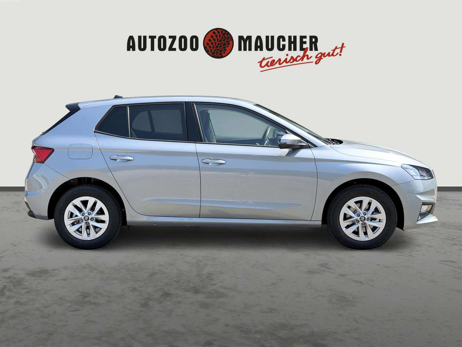 Fahrzeugbild eines Skoda Fabia