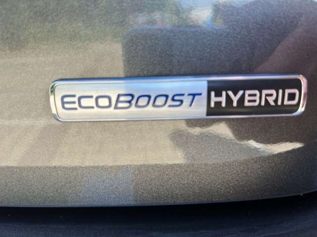 Fahrzeugbild eines Ford Fiesta