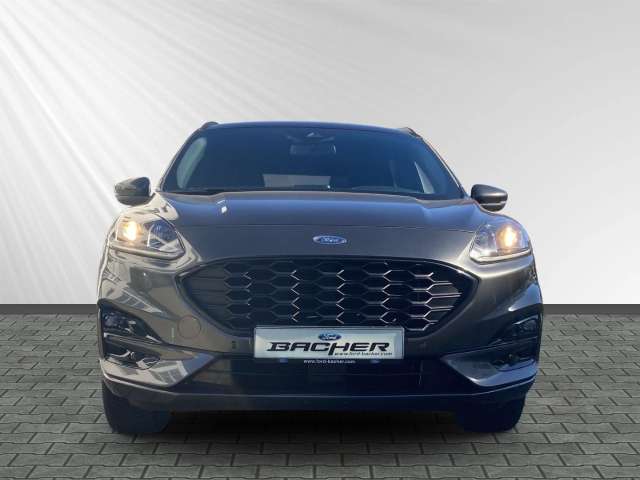 Fahrzeugbild eines Ford Kuga