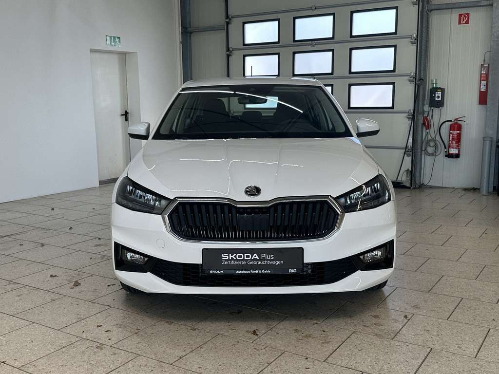 Fahrzeugbild eines Skoda Fabia
