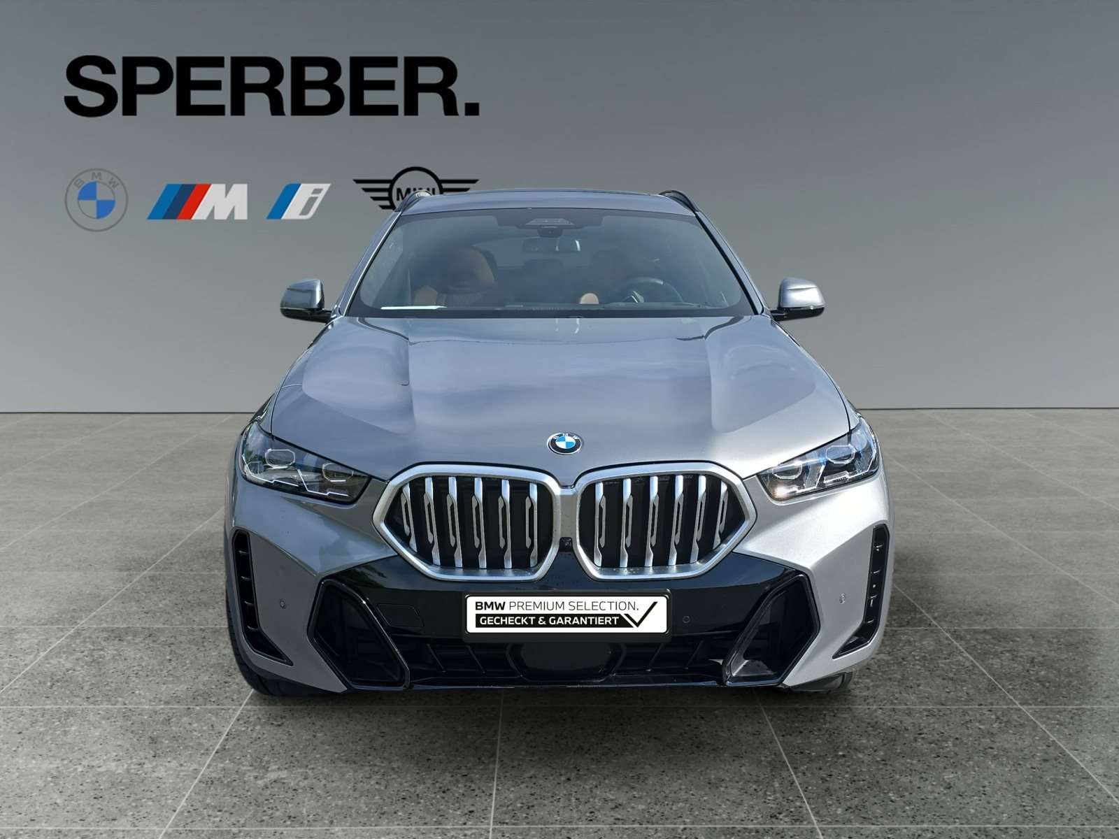 Fahrzeugbild eines BMW X6