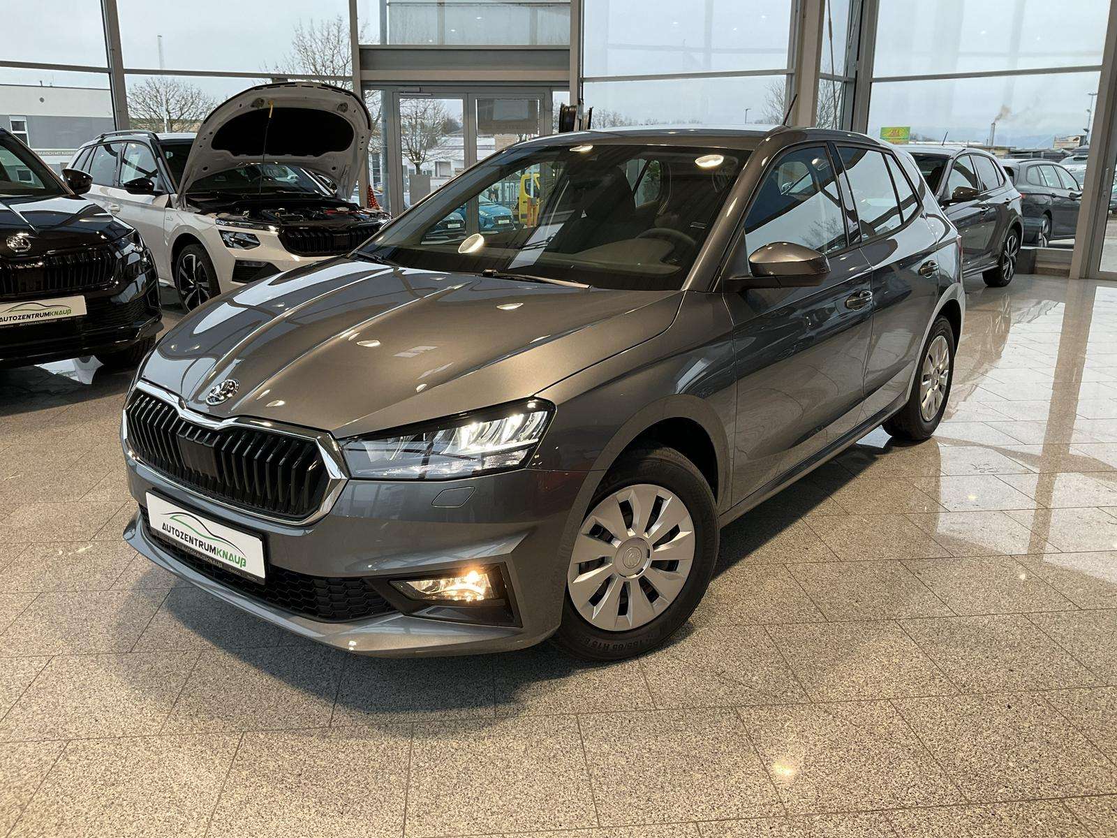 Fahrzeugbild eines Skoda Fabia