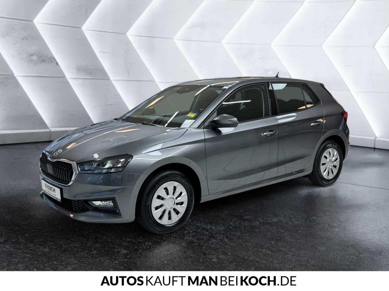 Fahrzeugbild eines Skoda Fabia