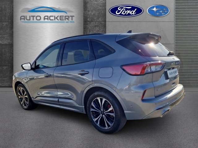 Fahrzeugbild eines Ford Kuga