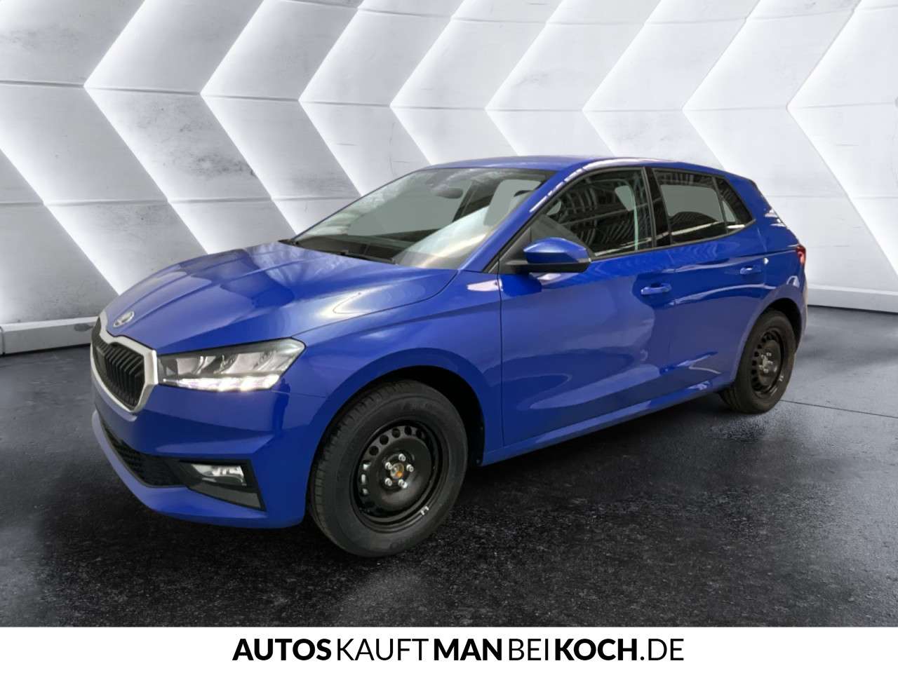 Fahrzeugbild eines Skoda Fabia