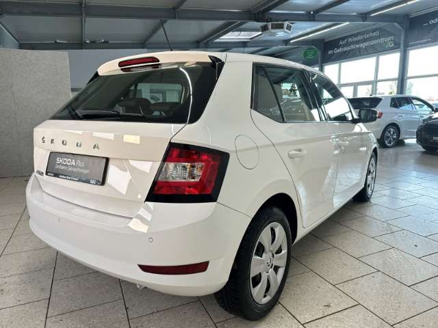 Fahrzeugbild eines Skoda Fabia